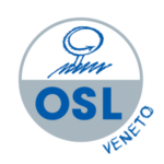 Logo OSL S.r.l. area Veneto - programmi gestione produzione e logistica, collaborazione tecnologia aziende, fornitura soluzioni informatiche aziende meccaniche Logo OSL S.r.l. area Veneto - programmi gestione produzione e logistica, collaborazione tecnologia aziende, fornitura soluzioni informatiche aziende meccaniche