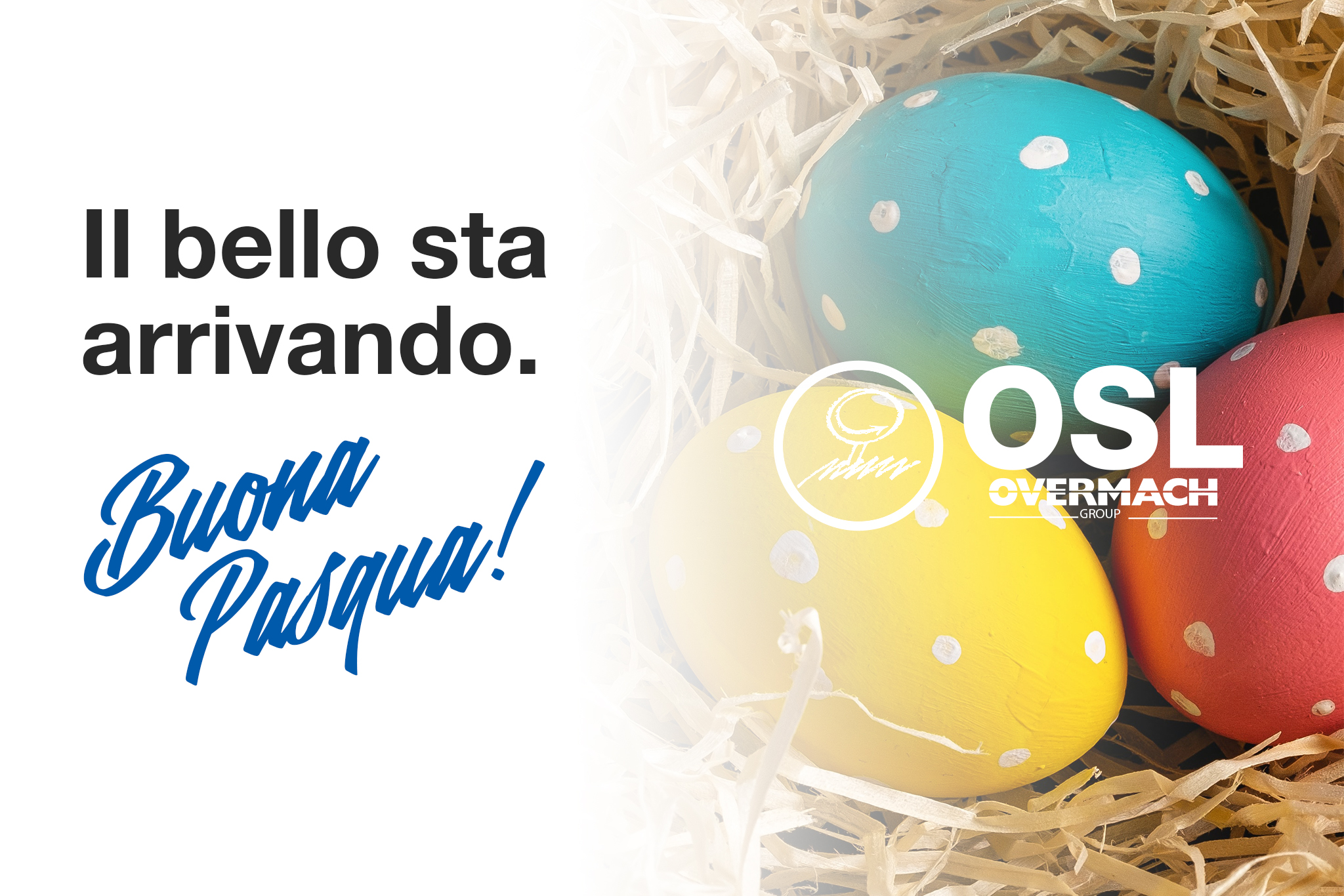 Auguri di Buona Pasqua